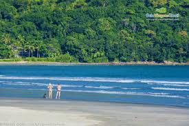 Baleia