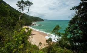 Praia Brava da Cocanha